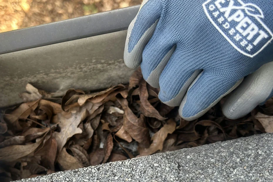 Barberton Gutter Cleaning